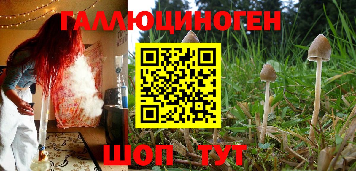 Галлюциногенные грибы GOLDEN TEACHER Комсомольск-на-Амуре